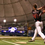 bryce harper